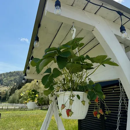 Holiday home Fochyn House *